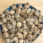 Austrian poppy heads | Seedless | LIMITED STOCK | Per 1000 gram