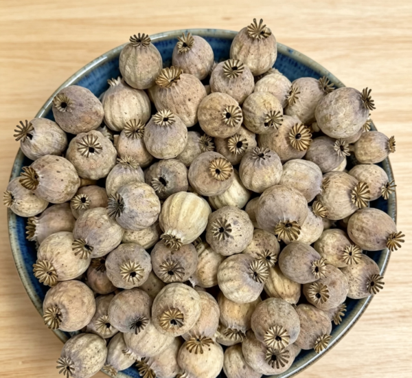 Austrian poppy heads | Seedless | LIMITED STOCK | Per 1000 gram
